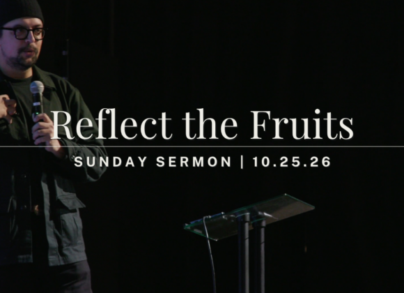 Reflect the Fruits Reflect the Fruits